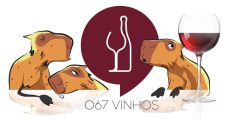067 Vinhos