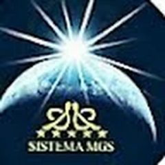 Mgs Trade & Investments