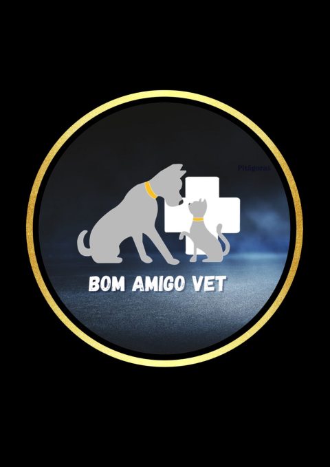 Bom Amigovet