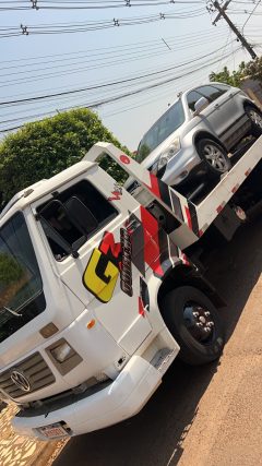 Polaco G3 Guincho
