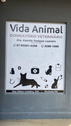 Consultório Veterinário Saúde Animal
