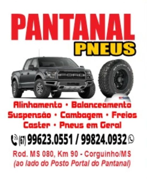 Pantanal Pneus