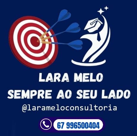Lara Melo Educacional