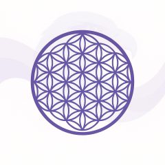 Dra. Maria Julia P C Ferraz Terapia Integrativa E Vibracional