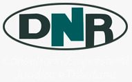 Dnr Consultoria Empresarial Tributária E Financeira