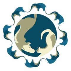 Mundo À Parte Osório