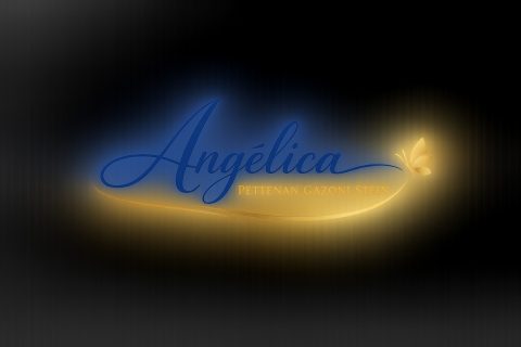 Angelica Pettenan Gazoni Stein