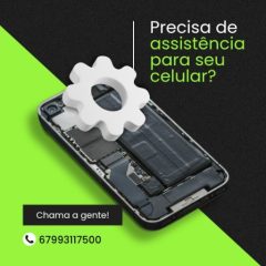 F.E Assistência Tec